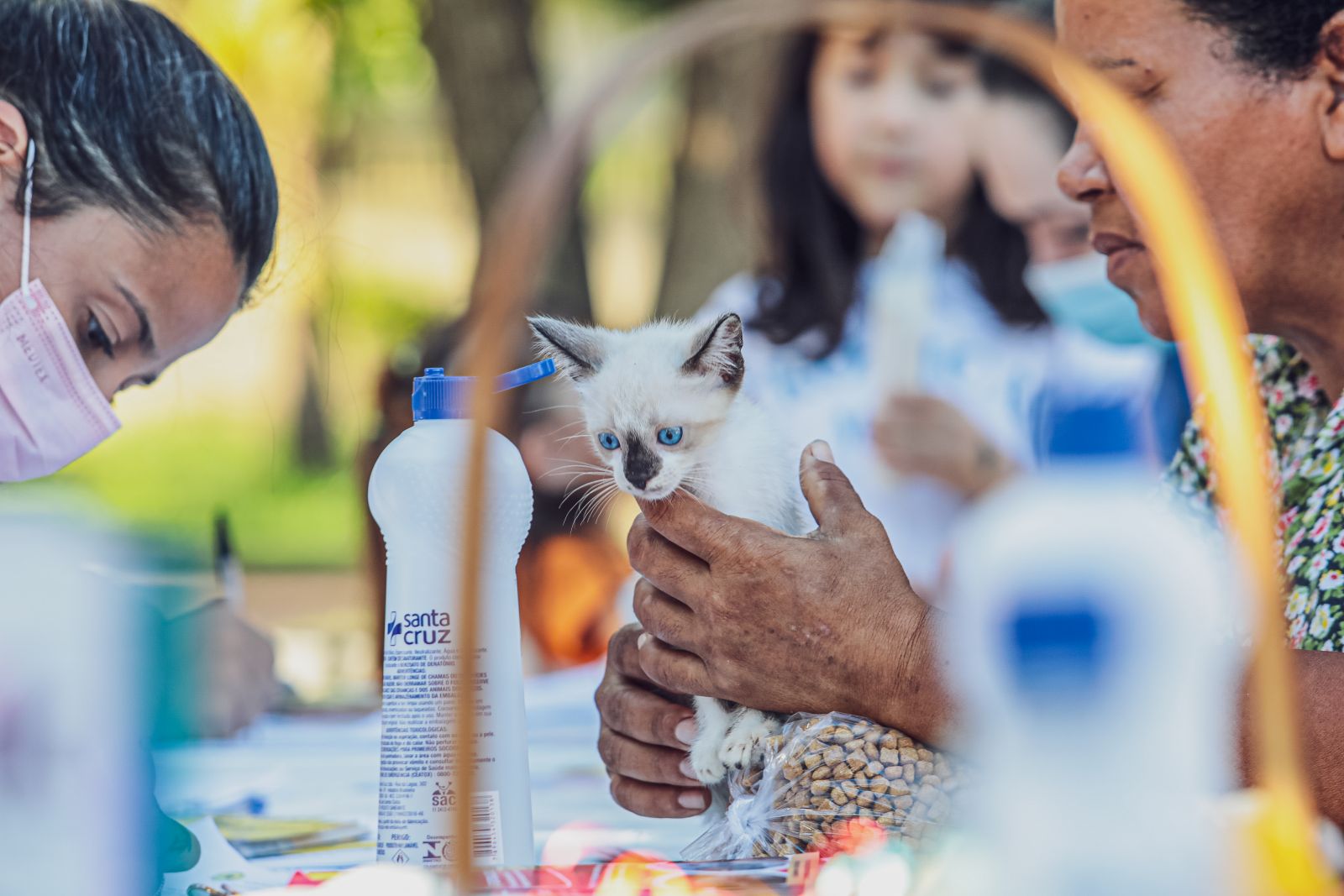 Adoção de animais segue contínua em Porto Velho